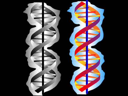 DNA Tattoo Design