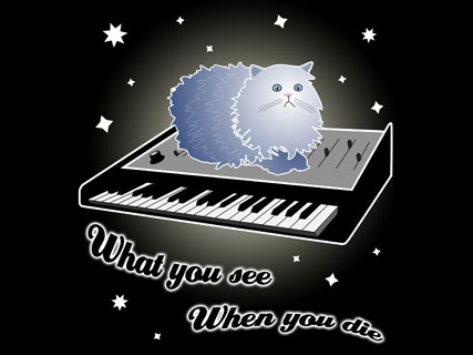 Cat On A Keyboard In Space
