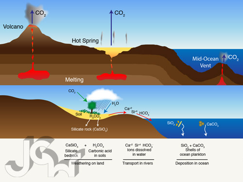 Carbon Cycle Illustration