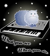 Cat on a Keyboard in Space T-Shirt